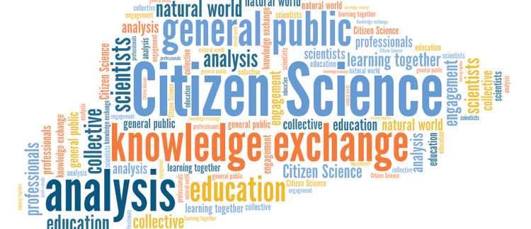 Gunnell | Co-created citizen science: challenging cultures and practice in  scientific research | Journal of Science Communication