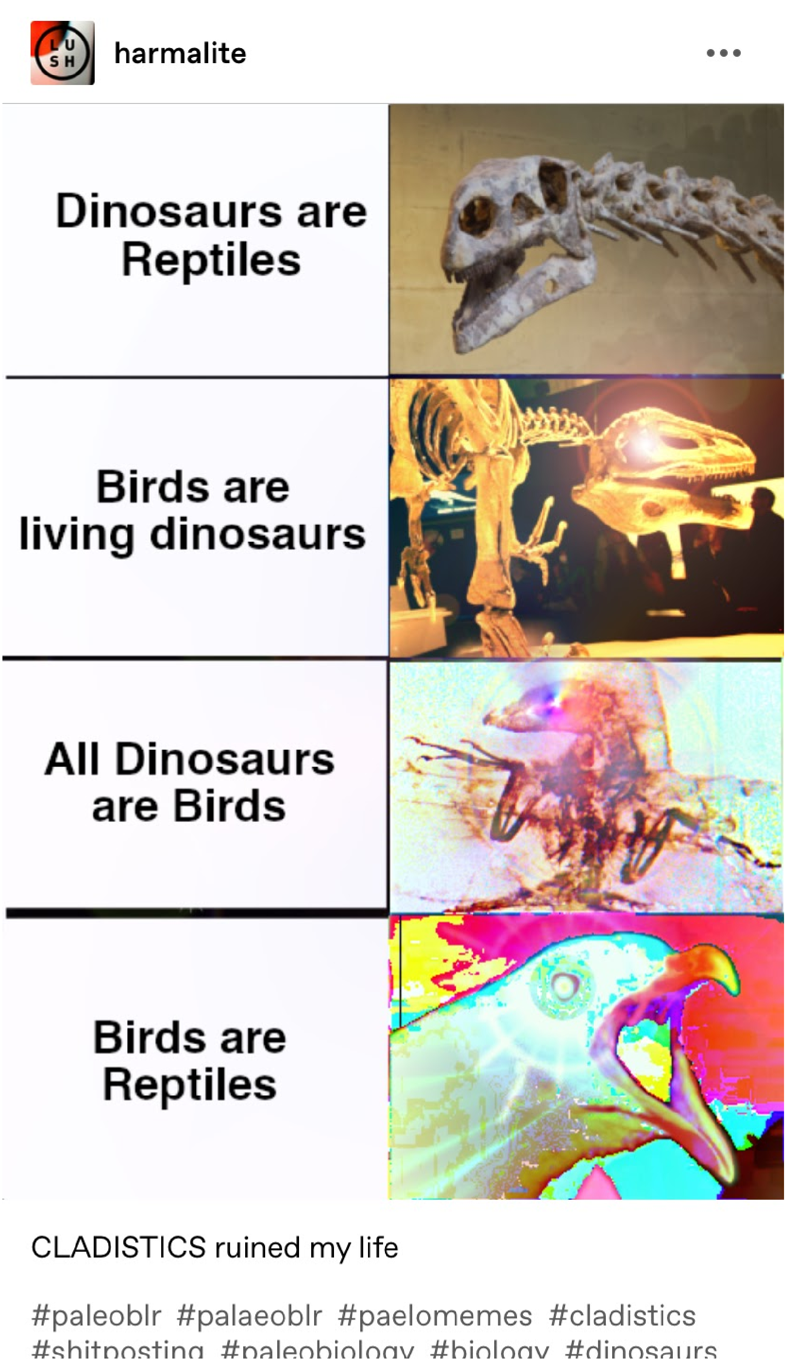 Found the link to the dinosaur game : r/memes